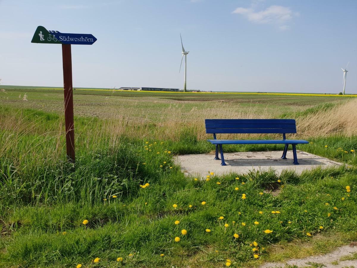 Kleines Haeuschen Am Deich, Vor Den Toren Von Sylt Villa Emmelsbüll-Horsbüll Buitenkant foto