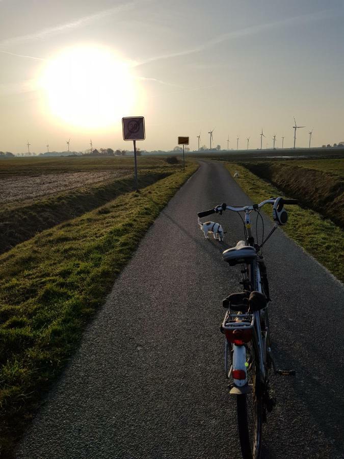 Kleines Haeuschen Am Deich, Vor Den Toren Von Sylt Villa Emmelsbüll-Horsbüll Buitenkant foto